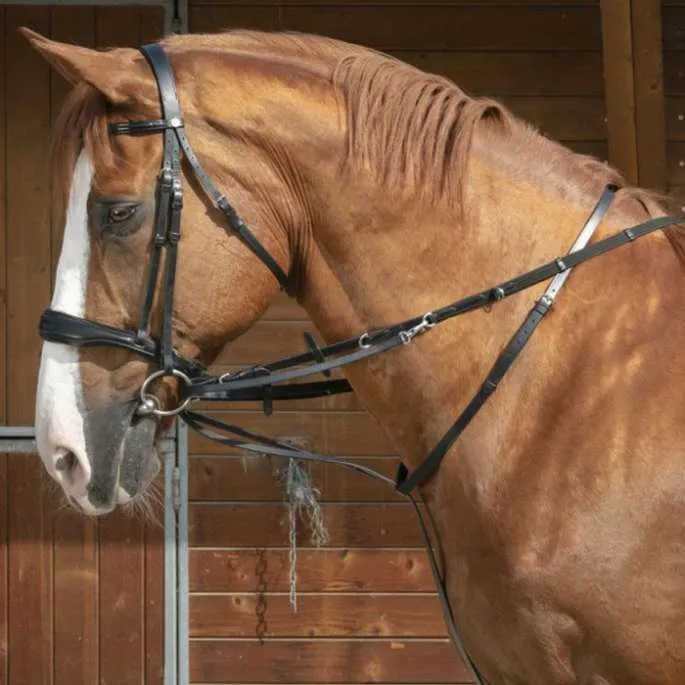 Nouvel Arrivage Enrnement Thiedeman - Norton Pro - havane - cheval (full )