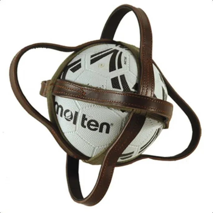 Ballon de Horse-Ball- T2 Moustiques / Poussins - unique Promotion