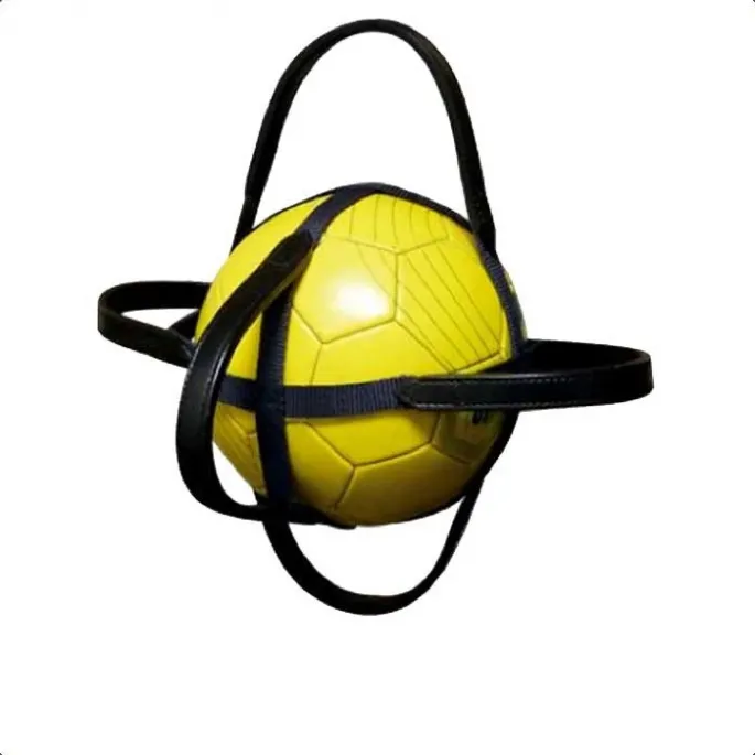 Marque Enveloppe ballon de Horse-Ball - Norton - taille 3