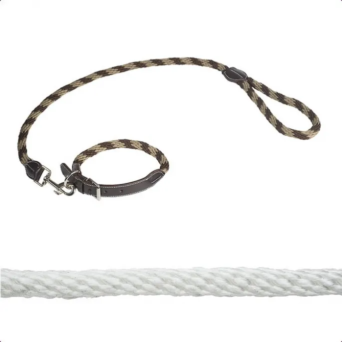 Collier + laisse cuir/corde pour chiens - Norton - marron/beige - 50 cm Haute Qualit
