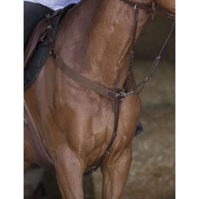 Meilleur Choix Collier de chasse lastique – Norton Pro – noir – pur-sang (cob )