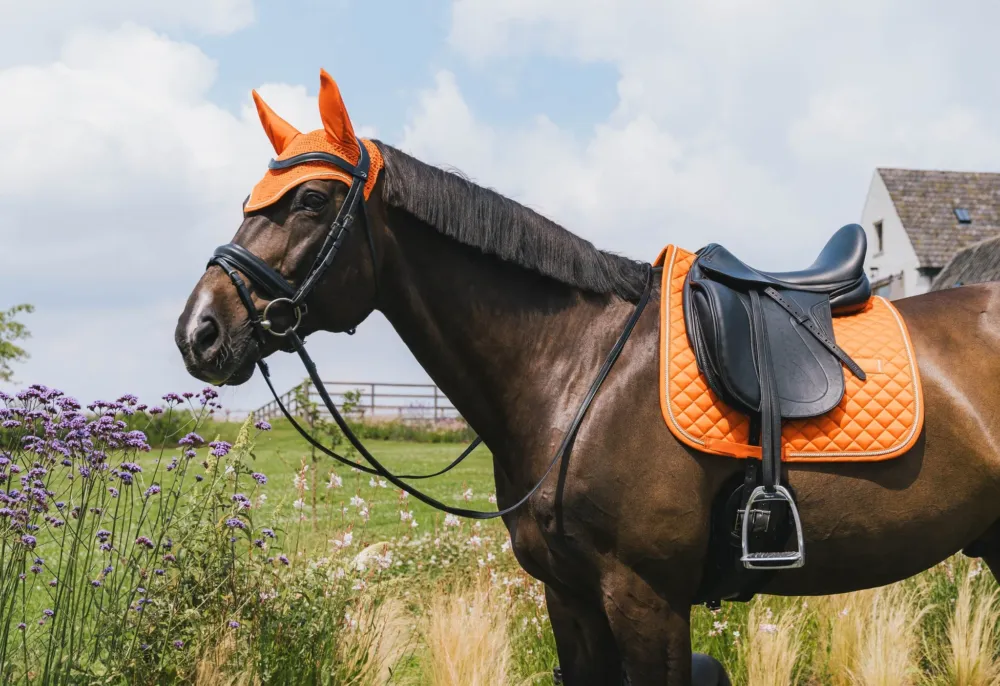 Manta para caballo Kentucky Horsewear Diamond Rope Dressage Set - Navy / Grey Expdition Rapide