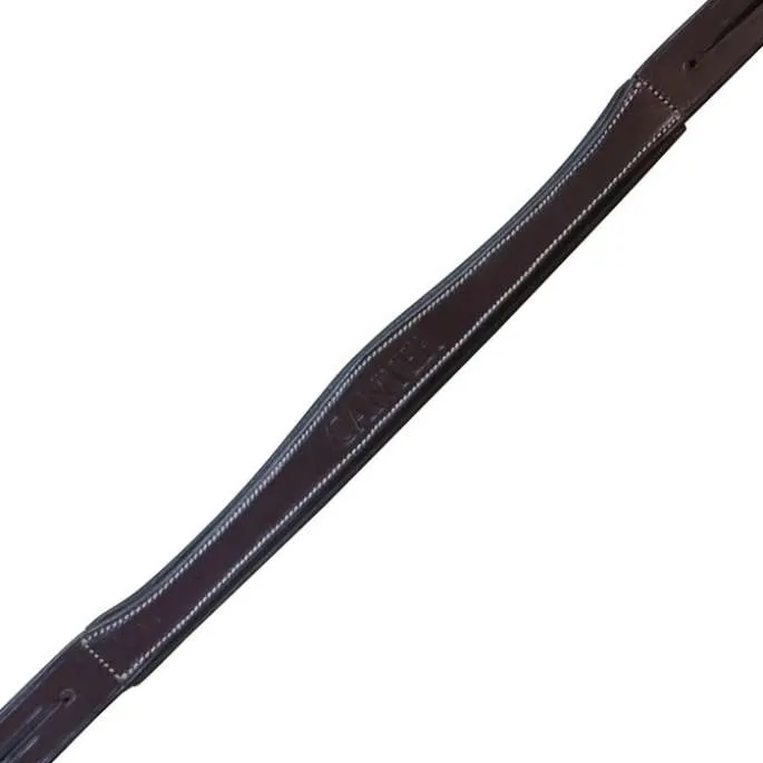Populaire Ttire - Canter - noir - pur-sang (cob )