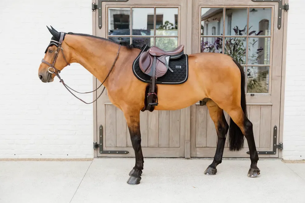 para caballo Kentucky mantilla Rubber Logo Jumping - Navy Nouvelle Collection