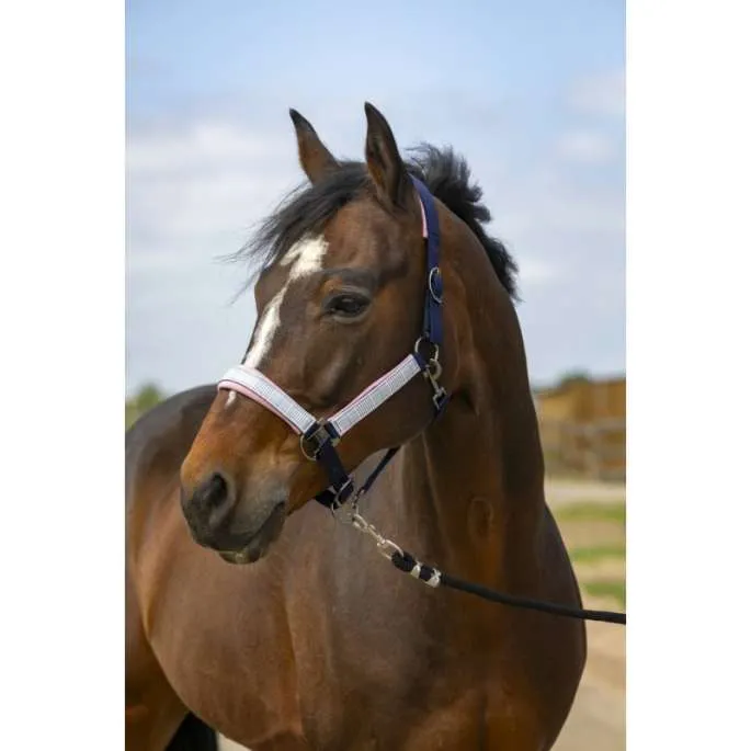 Haute Qualit Licol Nylon Check - Equithme - marine/rose - cheval (full )