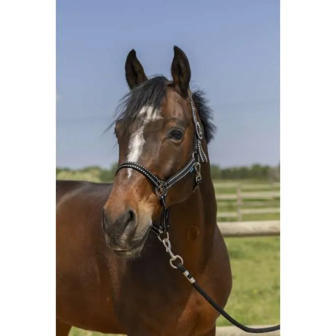 Livraison Express Licol Grooming - Norton - rouge - poney (pony )