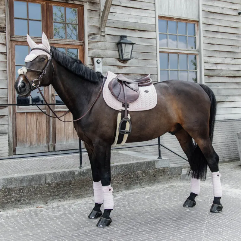 Meilleure Vente Sets Kentucky Velvet Pearls Matching Set - Soft Rose - Dressage