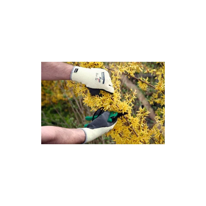 Must-Have Gants de travail Covalliero Power Grab Plus quitation - Ecru / bleu fonc
