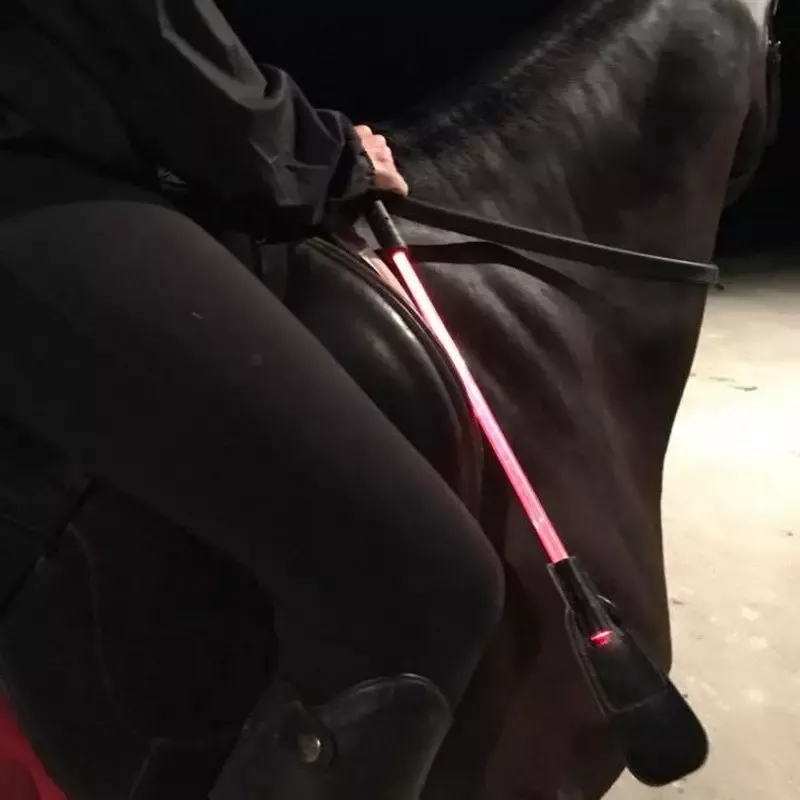 Dernier Modle Cravache Equizor Harry's Horse quitation lumineuse 3 couleurs - assorti
