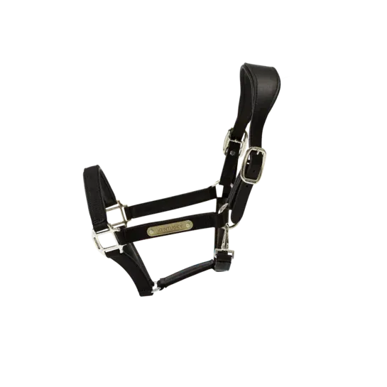 Acheter En Ligne Cabezada de cuadras Kentucky Nylon cabezada de cuadra Anatomic – Full / Black