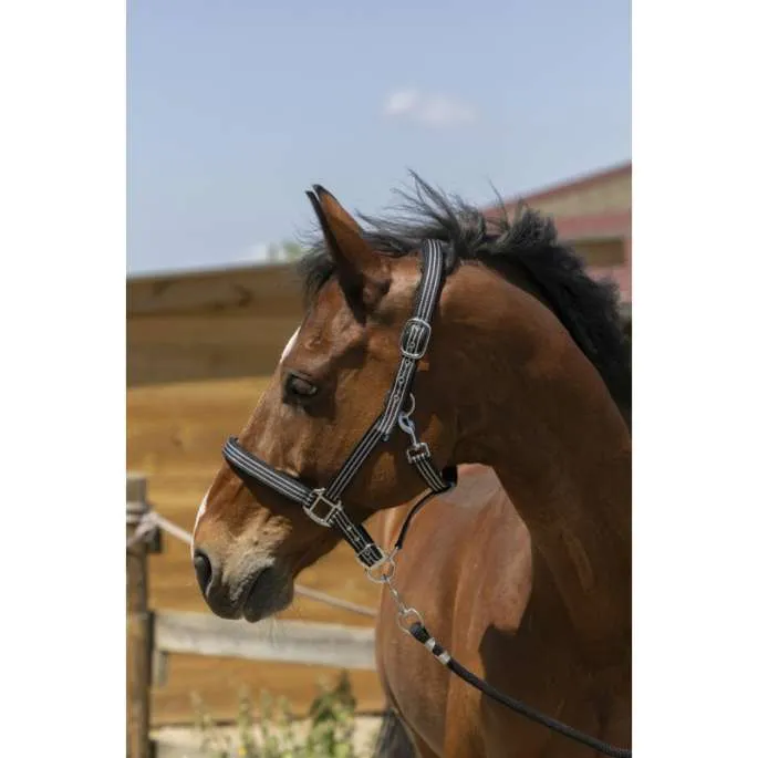 Vente Directe Licol Zari - Norton - noir - cheval (full )