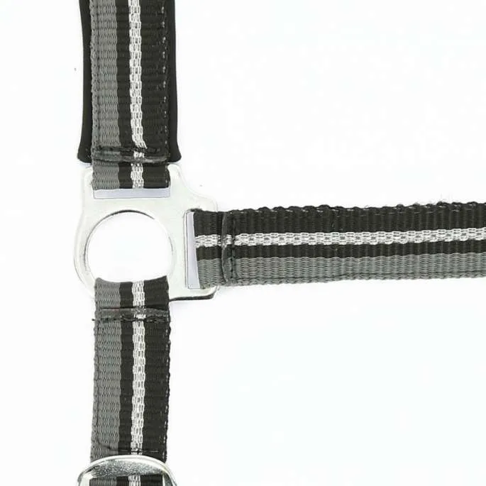 Produit De Marque Kit Licol + longe Brillant - Norton - taupe/marine - cheval (full )