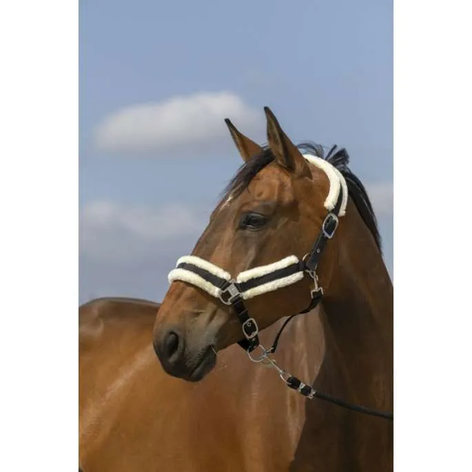 Licol Nylon Mouton - Equithme - bordeaux/blanc - shetland Promotion Saisonnire