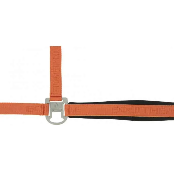 Licol nylon Jacquard poney - Equithme - bleu canard - poney (pony ) Prix Cass