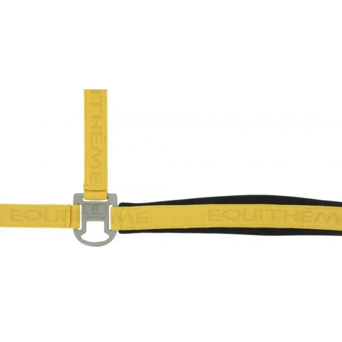 Prix Bas Licol nylon Jacquard pur-sang - Equithme - bleu canard - pur-sang (cob )