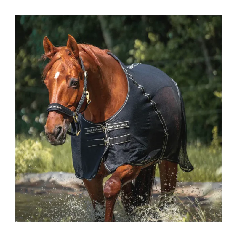 BACK ON TRACK – Chemise Sienna – 125 cm – Noir Commander Maintenant