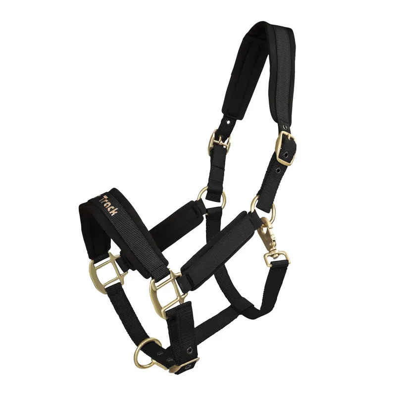BACK ON TRACK – Licol Werano – Poney – Noir Meilleur Choix