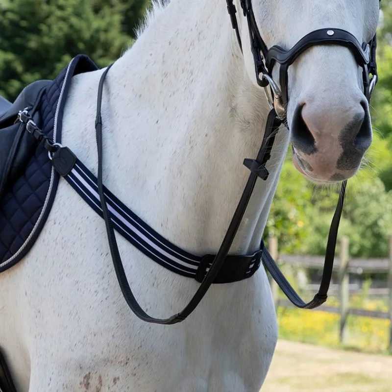 Achat Immdiat ANTARS – Bricole lastique – Cob – Noir
