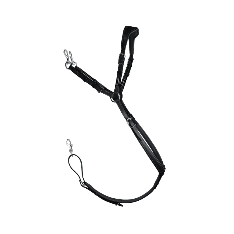 ANTARS – Collier de chasse pour mono quartier Prcision – Cob – Noir Offre Exclusive