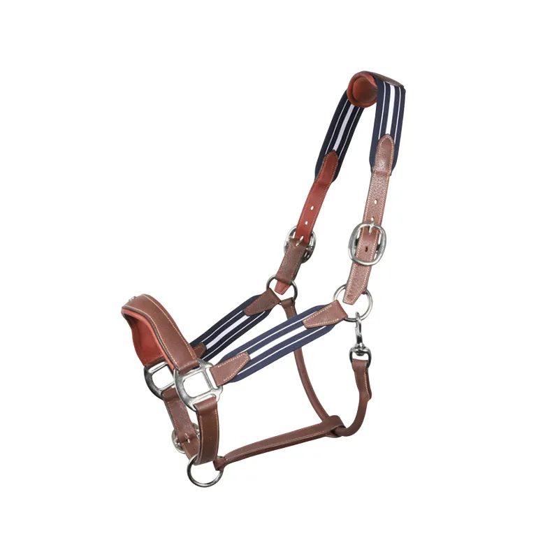 Affaire  Saisir ANTARS – Licol Stressless – Cob – Malt