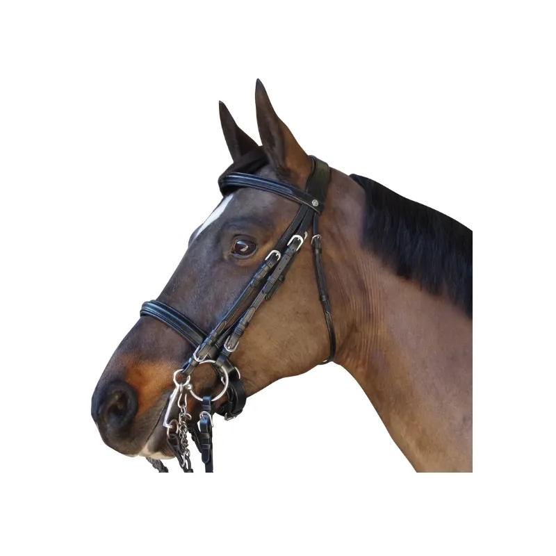 Nouvelle Collection CANTER - Bride Euro - Cob - Noir
