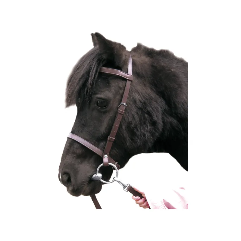 CANTER – Bridon ducatif Club – Shetland – Noir Meilleure Vente