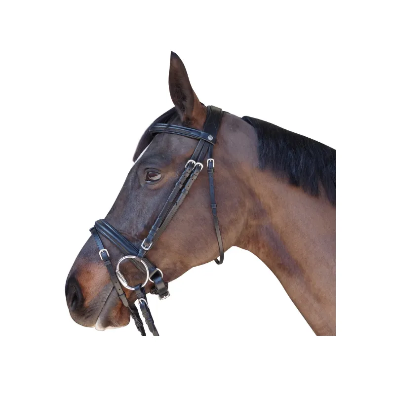Nouveaut CANTER - Bridon Euro Pull Back - Cob - Noir
