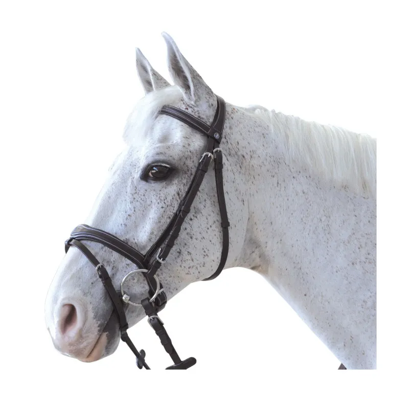 CANTER – Bridon Ornella – Cob – Havane Expdition Rapide