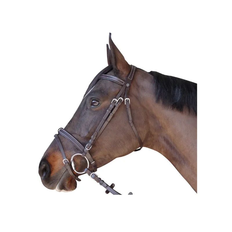 CANTER – Bridon plat doubl – Shetland – Noir Prix Cass