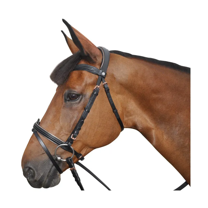 CANTER – Bridon Rose Gold – Poney – Noir Prix Choc