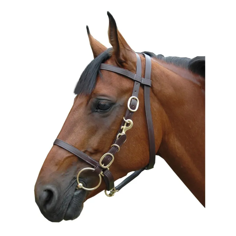 Super Prix CANTER – Bridon-licol large – Cob – Noir