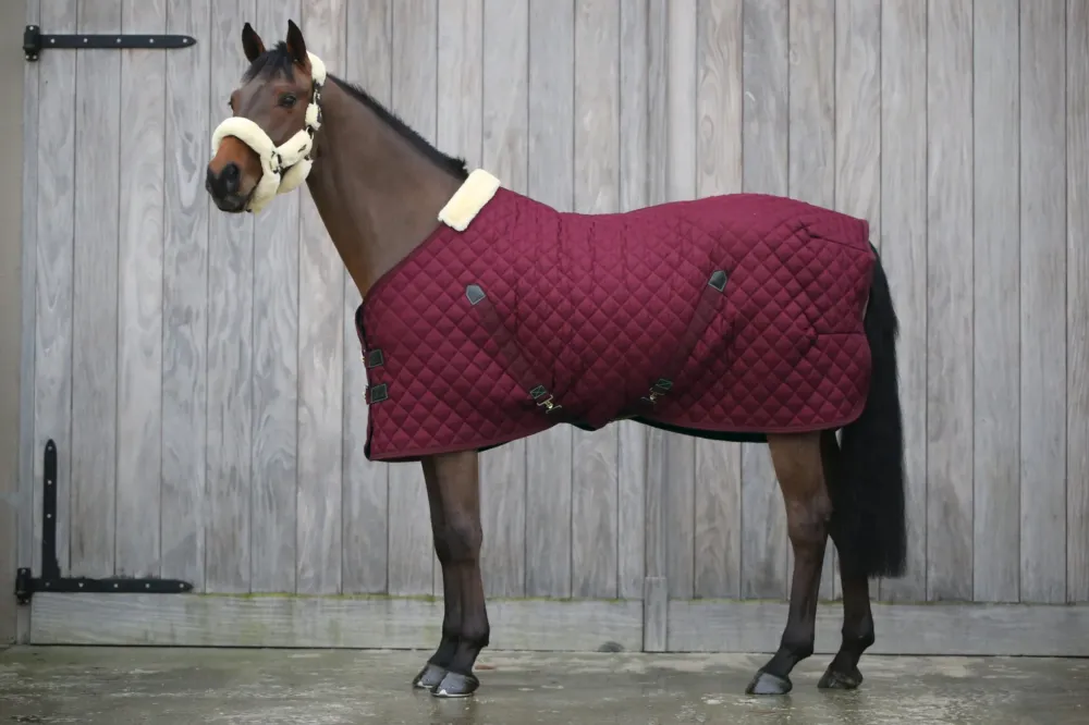 Manta para caballo Kentucky Stable manta Bordeaux - 5'9/125 Remise