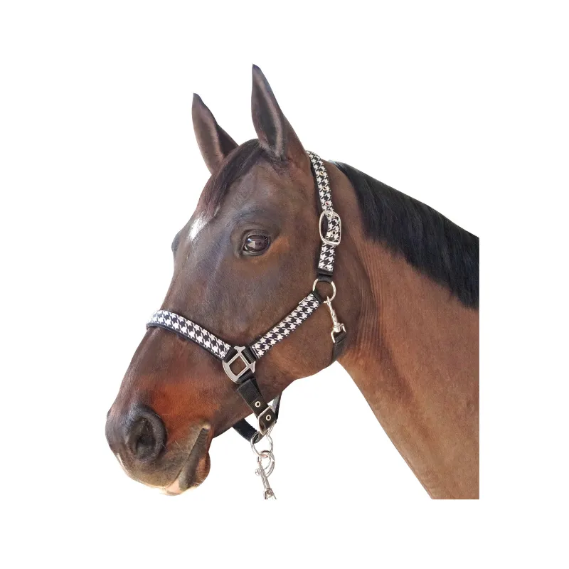CANTER - Licol + Longe Pied de poule - Poney Satisfait Ou Rembours