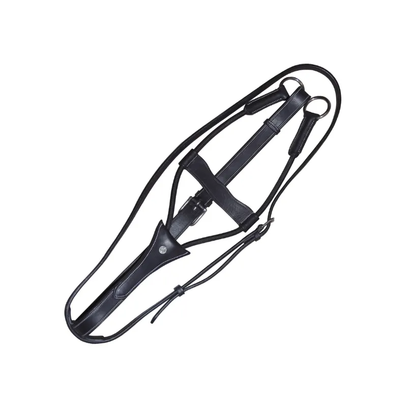 CANTER - Martingale lastique - Poney - Noir Meilleur Prix