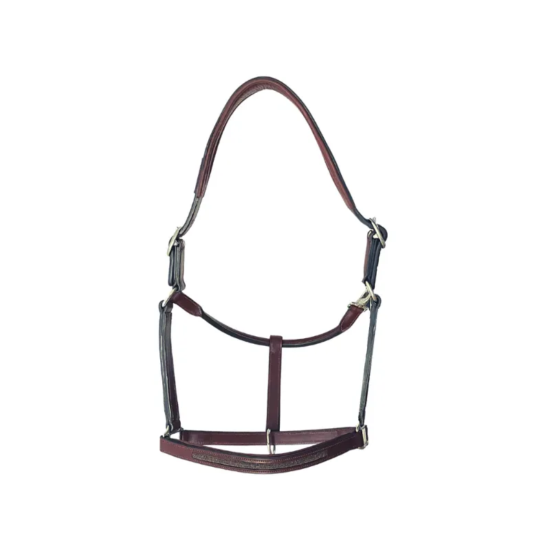 Solde CAVALETTI – Licol Goldy – Cheval – Oak