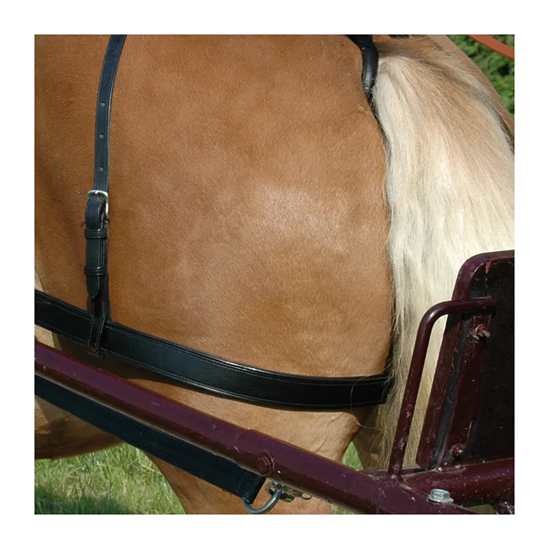 Prix Cass CHETAK – Courroies de fesses – Cheval