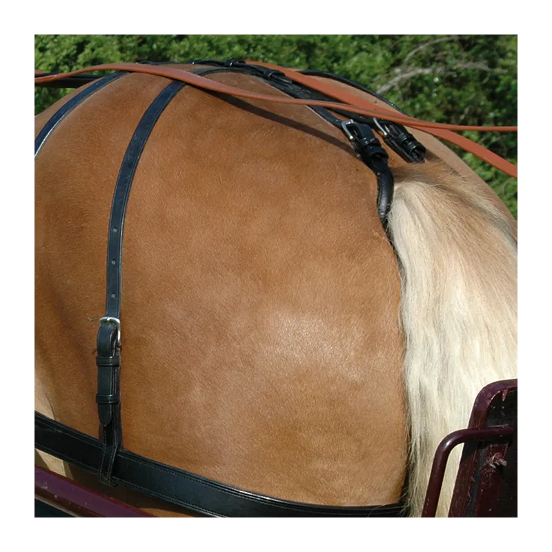 Achetez Aujourdhui CHETAK – Croupire harnais – Cheval
