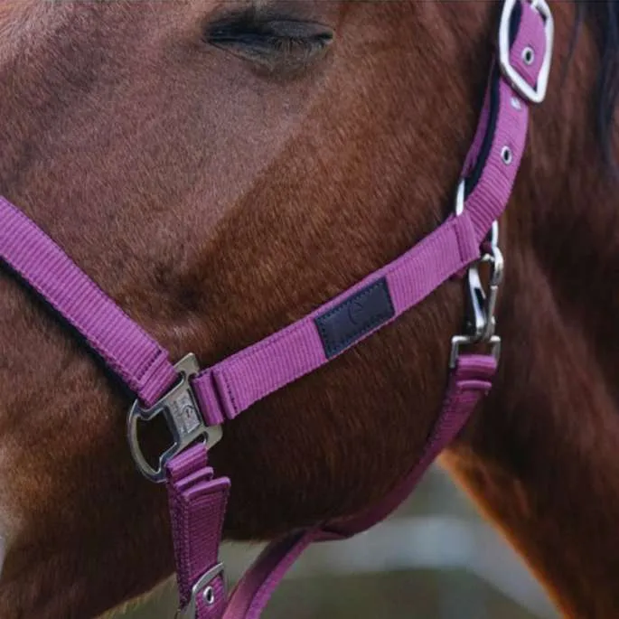 Soldes Licol nylon Spring - Equithme - rose clair - cheval (full )
