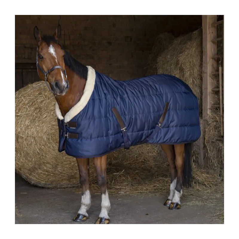 Bon March QUITHME - Couverture d'curie Teddy - 7'0 (165 cm )