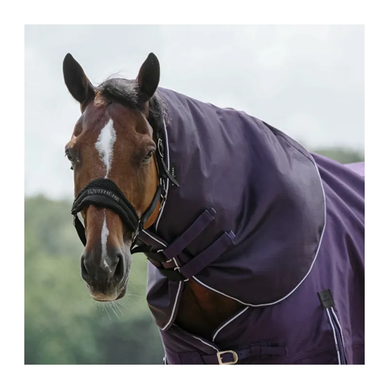 Jusqu puisement Des Stocks QUITHME - Couvre-cou Tyrex 600D Aisance - Poney - Prune - 0 gr