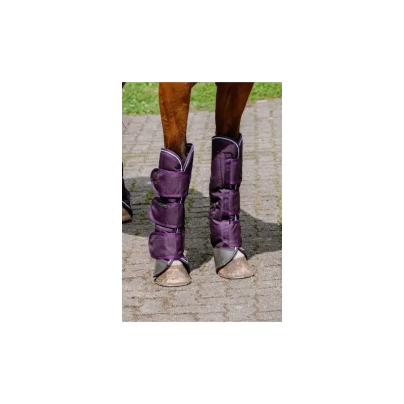 QUITHME - Gutres de transport Tyrex 600D - Poney - Prune Quantit Limite