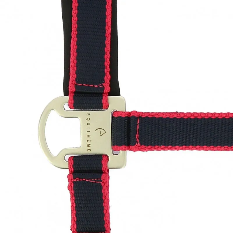 Achat Immdiat QUITHME – Licol + Longe Satin – Shetland – Marine / Fuchsia