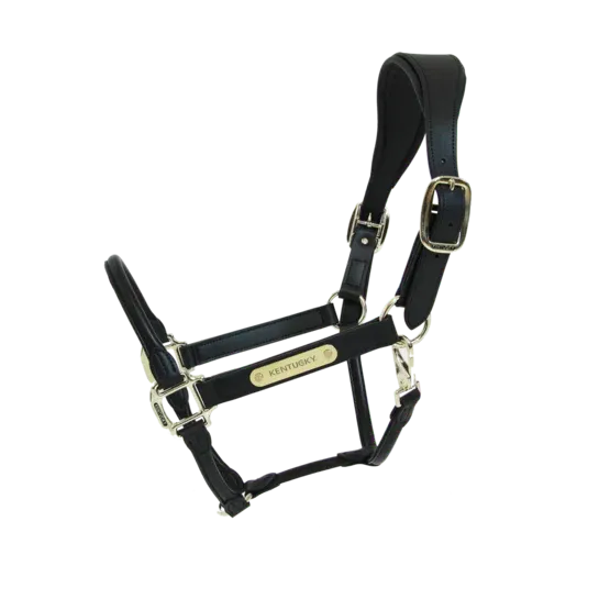 Cabezada de cuadras Kentucky Vegan Leather Anatomic cabezada de cuadra - Black / Full Expdition Rapide