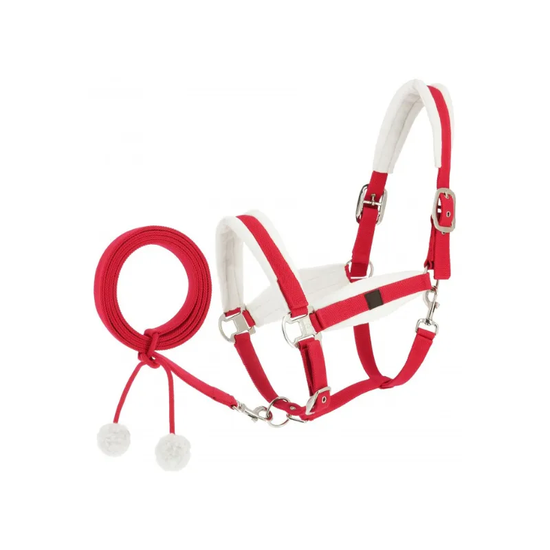 QUITHME - Licol + Longe Xmas - Poney - Rouge Livraison Express