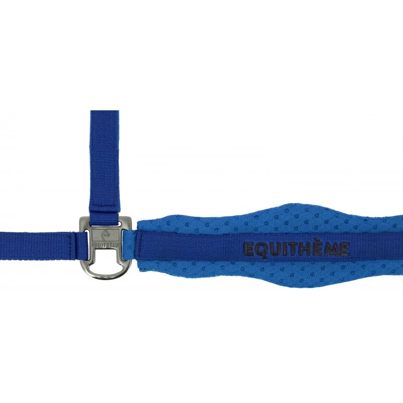 Remise QUITHME - Licol nylon 3D Mesh - Shetland - Bleu roi