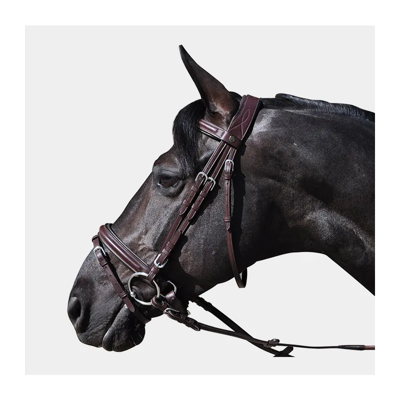 Quantit Limite FLAGS AND CUP - Bridon Hickstead - Poney
