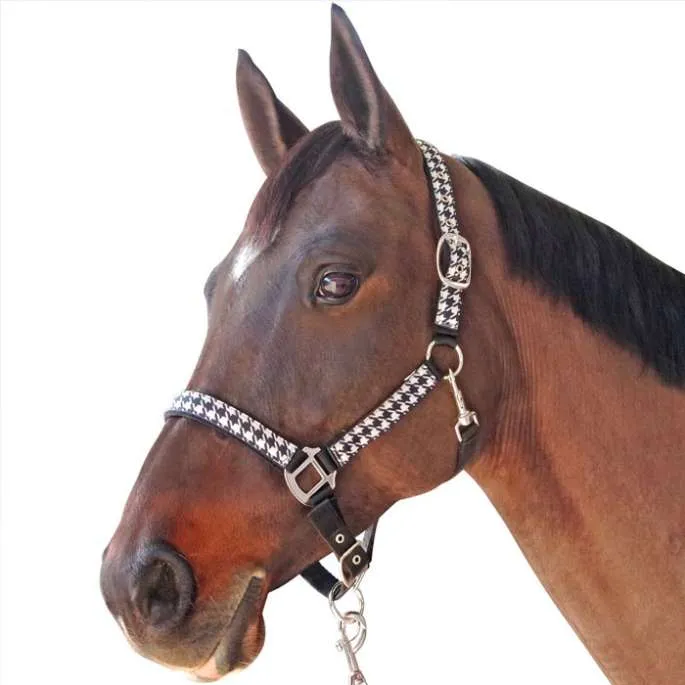 Prix Promo Set Licol et longe Pied de Poule - Canter - noir - poney (pony )