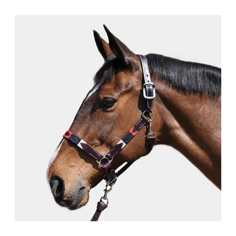 FLAGS AND CUP – Licol Chukka – Poney Livraison Gratuite