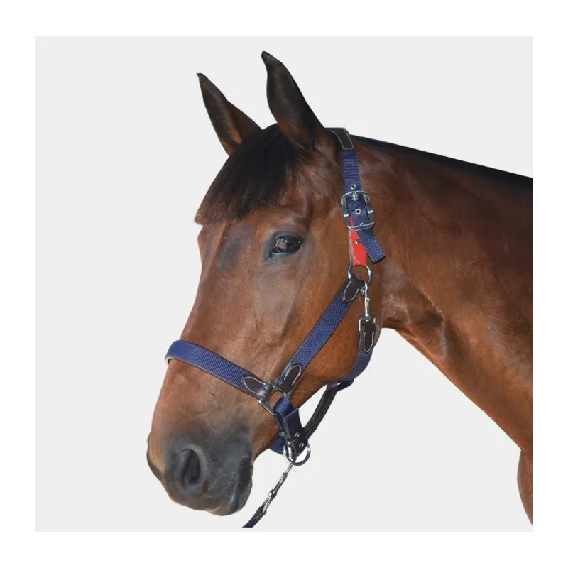FLAGS AND CUP - Licol de scurit - Poney Commande En Gros