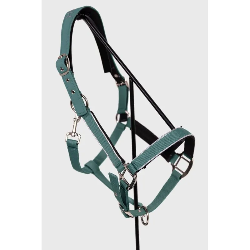 HARCOUR - Licol Bamara - Poney - Paon Must-Have